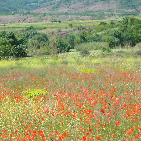 Vakantiehuis Maison Lac Du Salagou Salasc